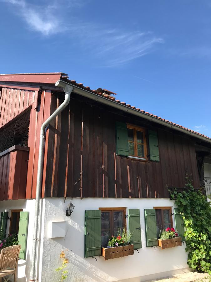 Chalet Alpenrose Schwangau Esterno foto